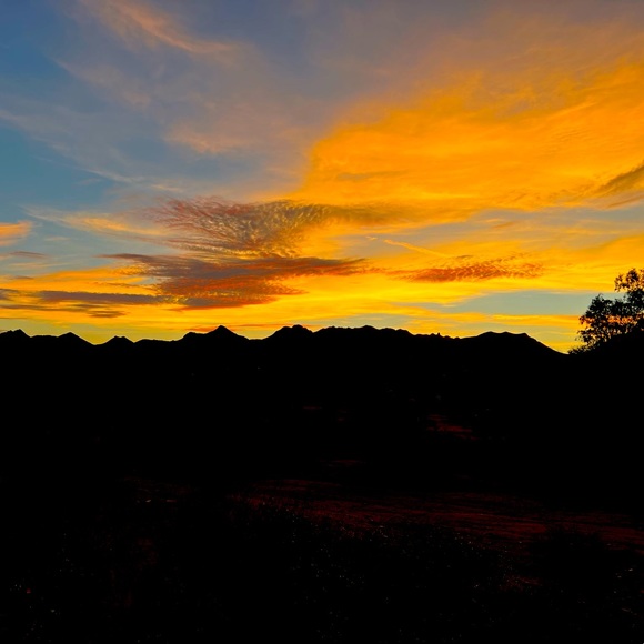 Meet your Posher, Jennifer - Picture 1 of 1